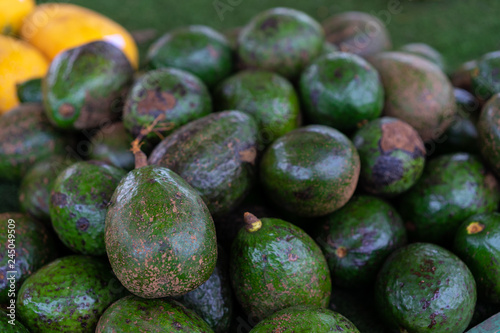 Green Avogado fruit in market