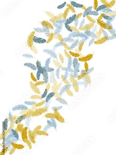 Falling feather elements soft vector design.