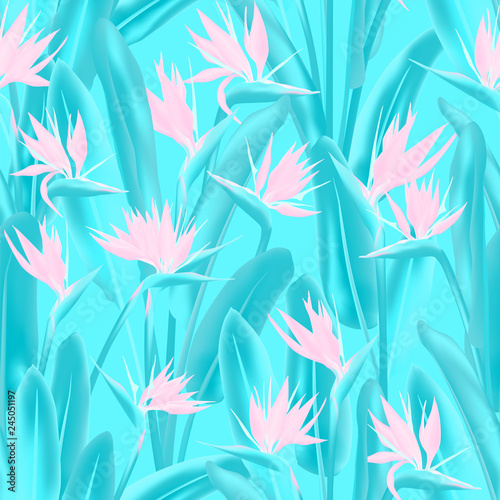 Tropical crane flower vector seamless pattern. Bohemian tropical plant fabric print design. South African plant tropical blossom of crane flower, strelitzia. Floral textile print.