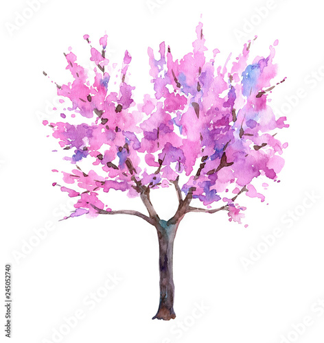 Cherry blossom tree  japanese sakura. Watercolor hand drawn illustration.