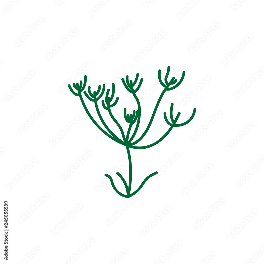 Herb, caraway icon. Element of herb icon for mobile concept and web apps. Detailed Herb, caraway icon can be used for web and mobile