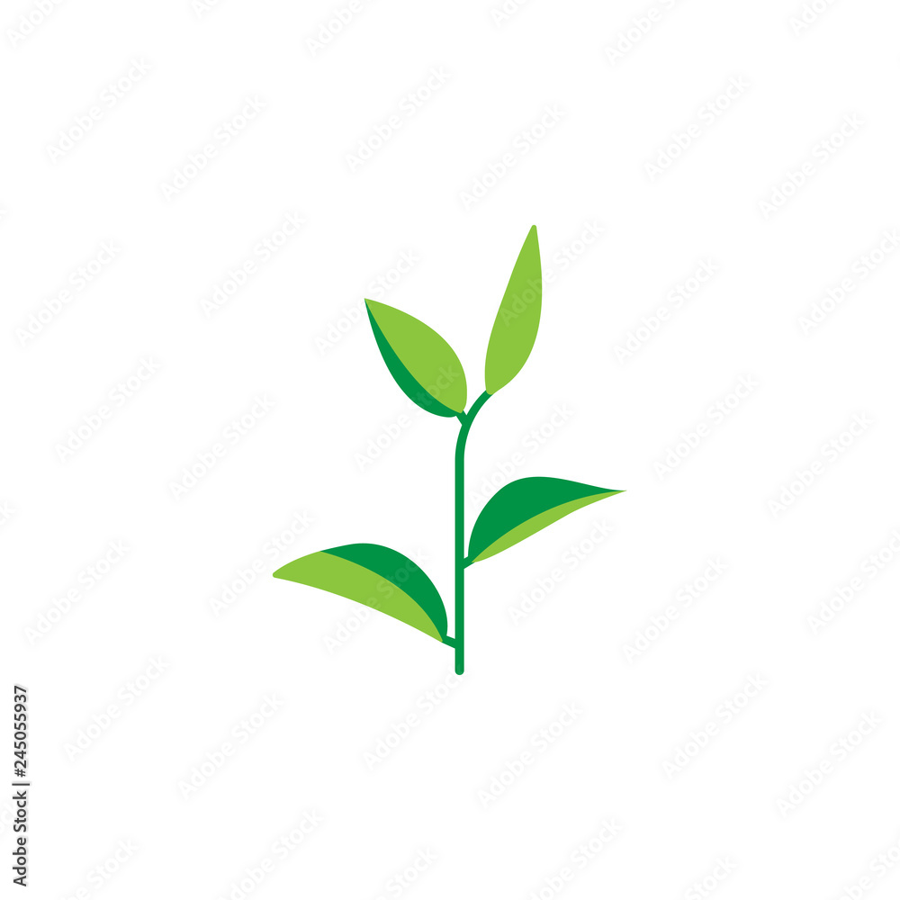 Herb, green tea icon. Element of herb icon for mobile concept and web apps. Detailed Herb, green tea icon can be used for web and mobile