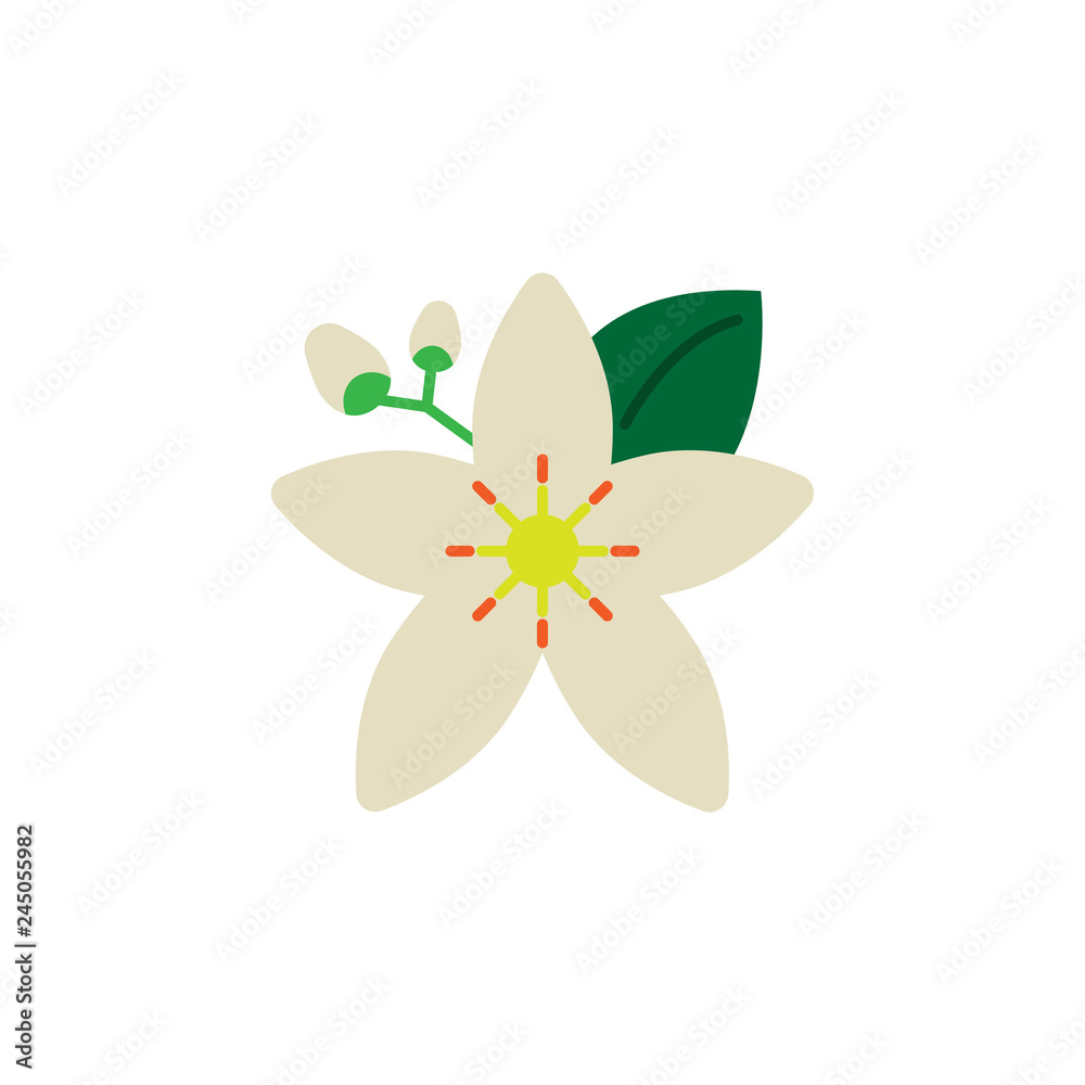 Herb, neroli icon. Element of herb icon for mobile concept and web apps. Detailed Herb, neroli icon can be used for web and mobile Herb, neroli icon. Element of herb icon for mobile concept and web apps. Detailed Herb, neroli icon can be used for web and mobile
