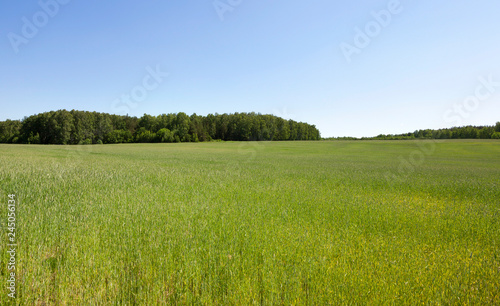 Landscape landscape Agricultural