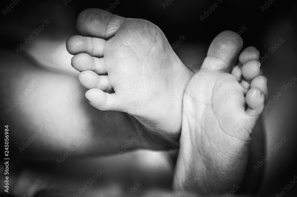 Newborn feets