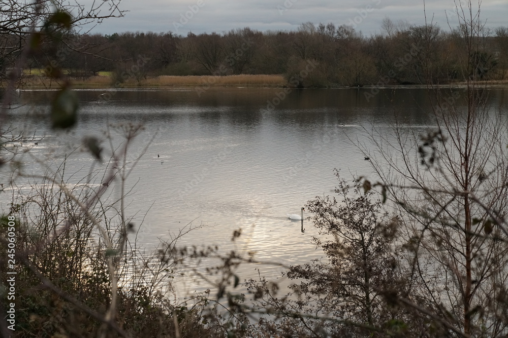 duddingston loch