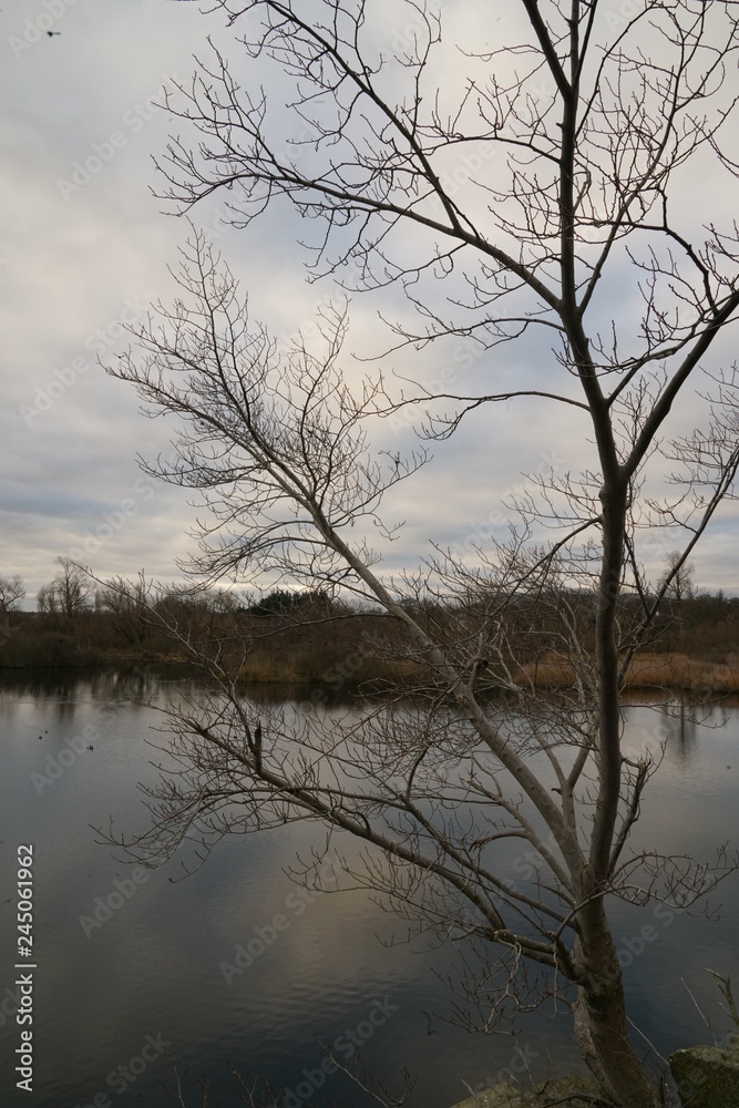 duddingston loch