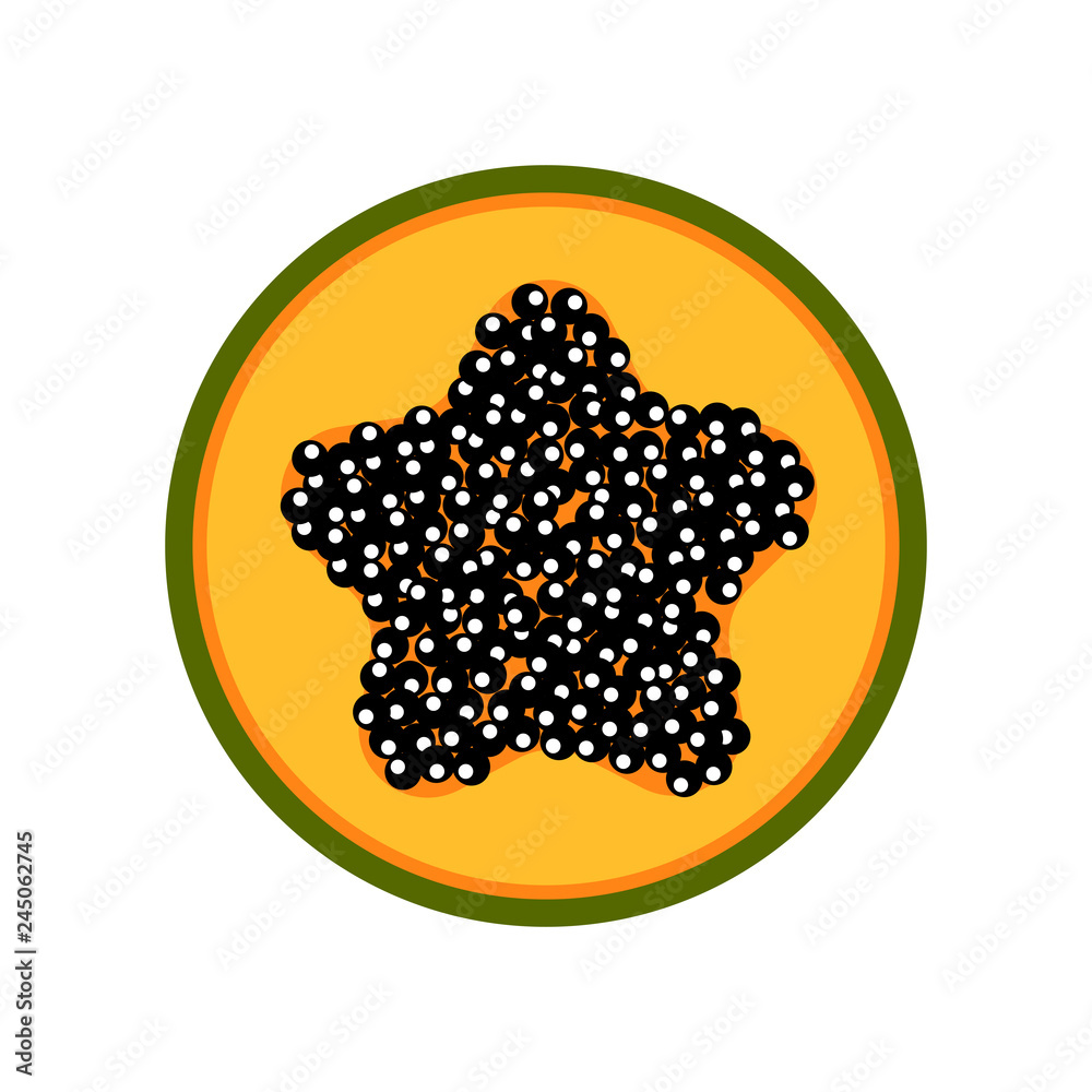 Isolated cut papaya image. Vector illustration design