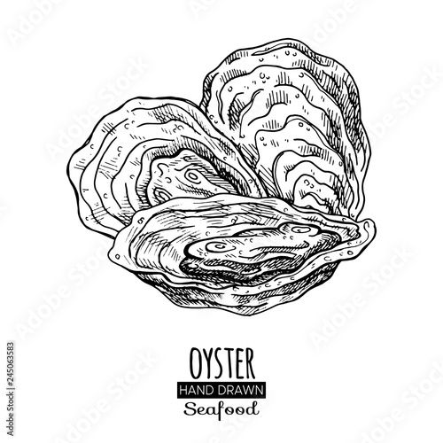 Hand drawn seashell. Monochrome illustration vintage seafood. Oyster sketch. Great for Fish and sea food restaurant menu, flyer, card, business promote.