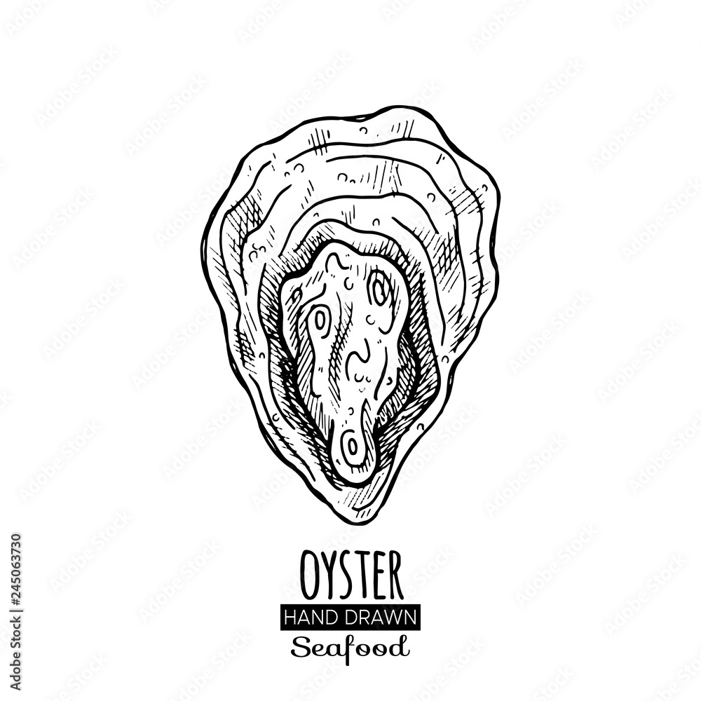 Hand drawn seashell. Monochrome illustration vintage seafood. Oyster sketch. Great for Fish and sea food restaurant menu, flyer, card, business promote.
