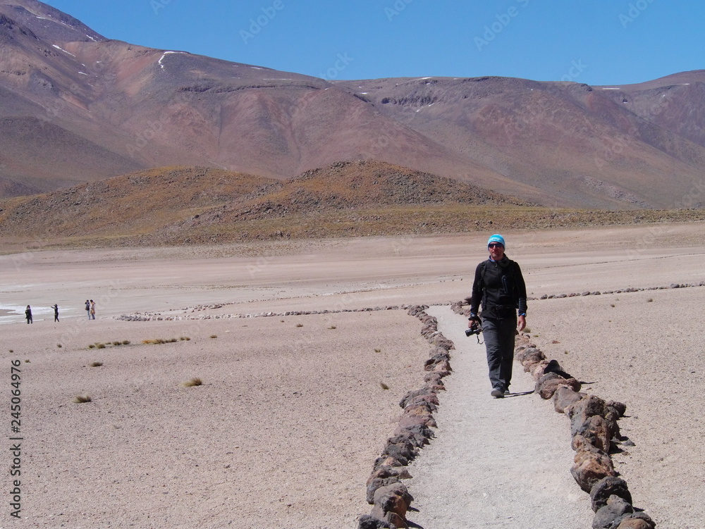 Lagunas altiplanica in the desert of Atacama, Chile.