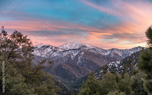 Wallpaper Mural Snowy California mountain sunset with pink and purple wispy clouds and green tre