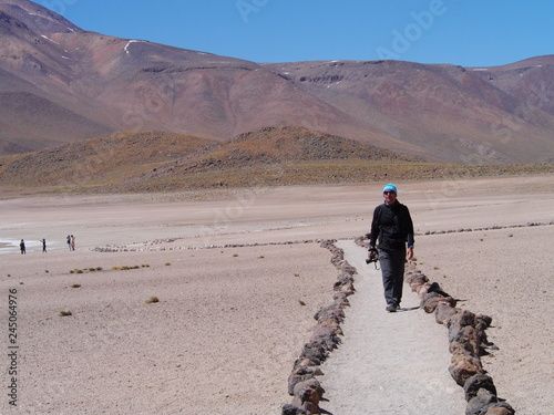 Obraz na płótnie Lagunas altiplanica in the desert of Atacama, Chile. w salonie