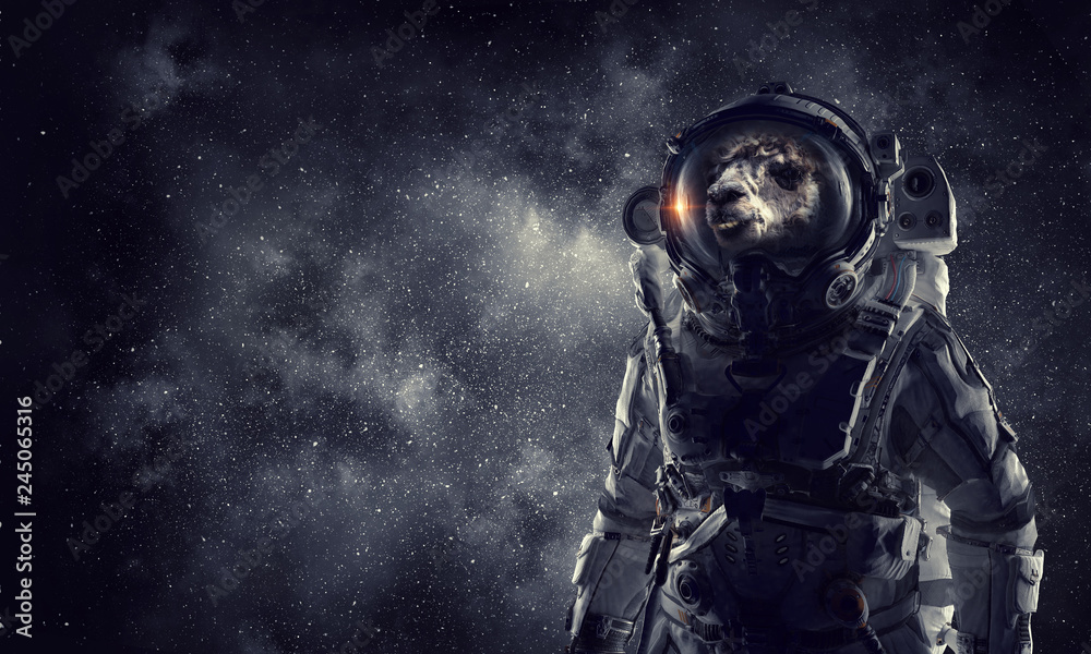 Fototapeta premium First trip to space. Mixed media