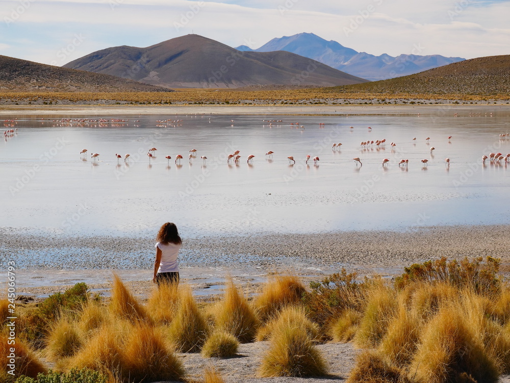 Siloli desert in Bolivia