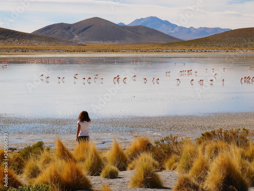 Obraz na płótnie Siloli desert in Bolivia w salonie
