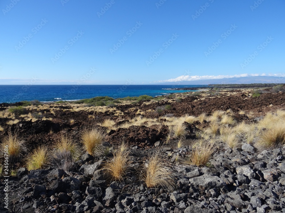 Obraz premium View on the Manini'owali beach and coastline in Big Island, Hawaii