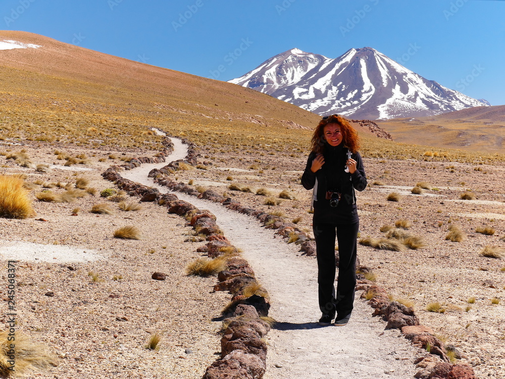 Lagunas altiplanica in the desert of Atacama, Chile.