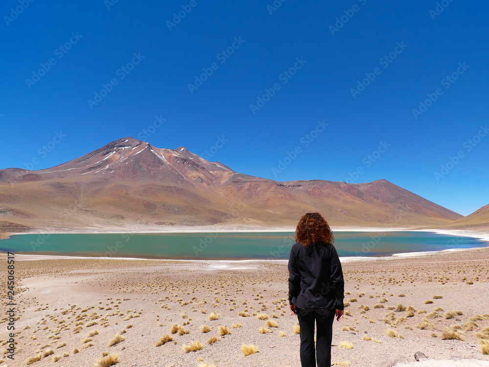 Lagunas altiplanica in the desert of Atacama, Chile.