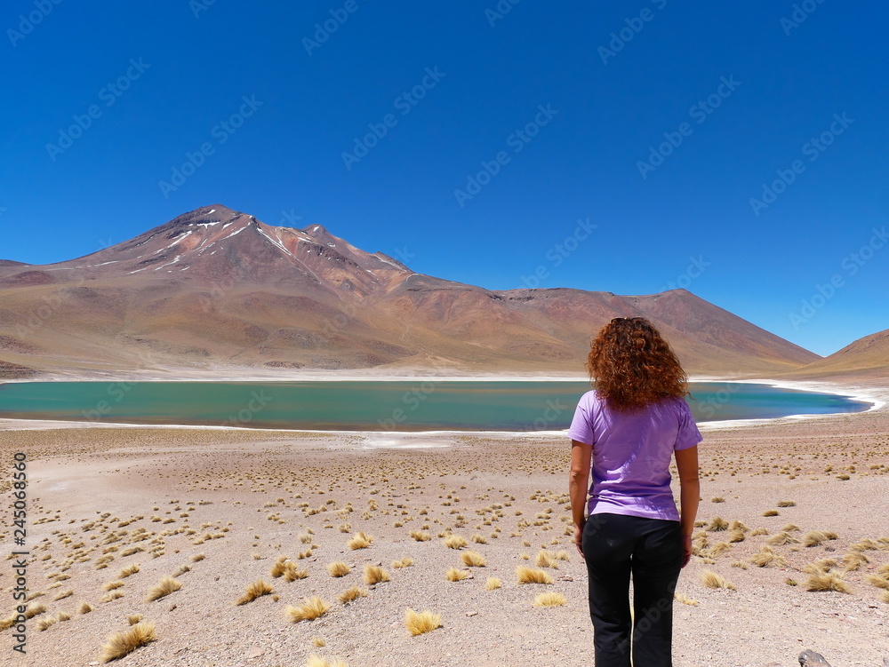 Lagunas altiplanica in the desert of Atacama, Chile.
