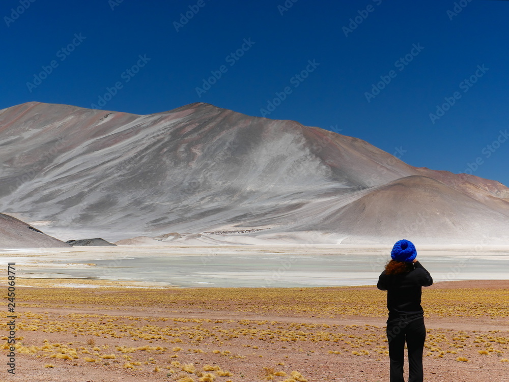 Lagunas altiplanica in the desert of Atacama, Chile.