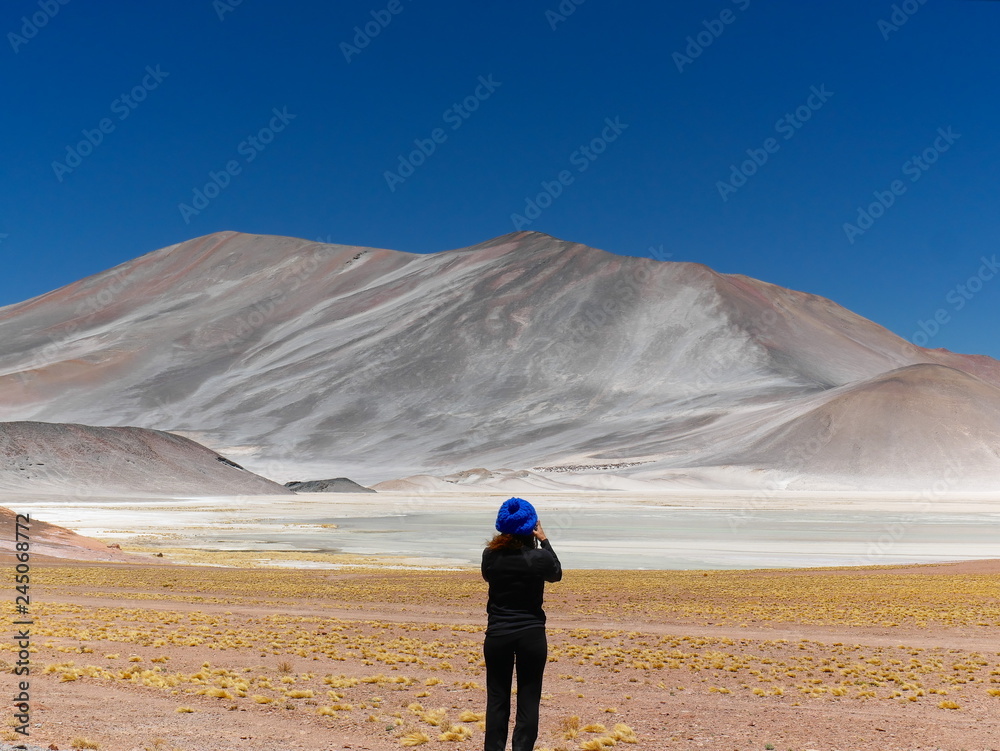 Lagunas altiplanica in the desert of Atacama, Chile.