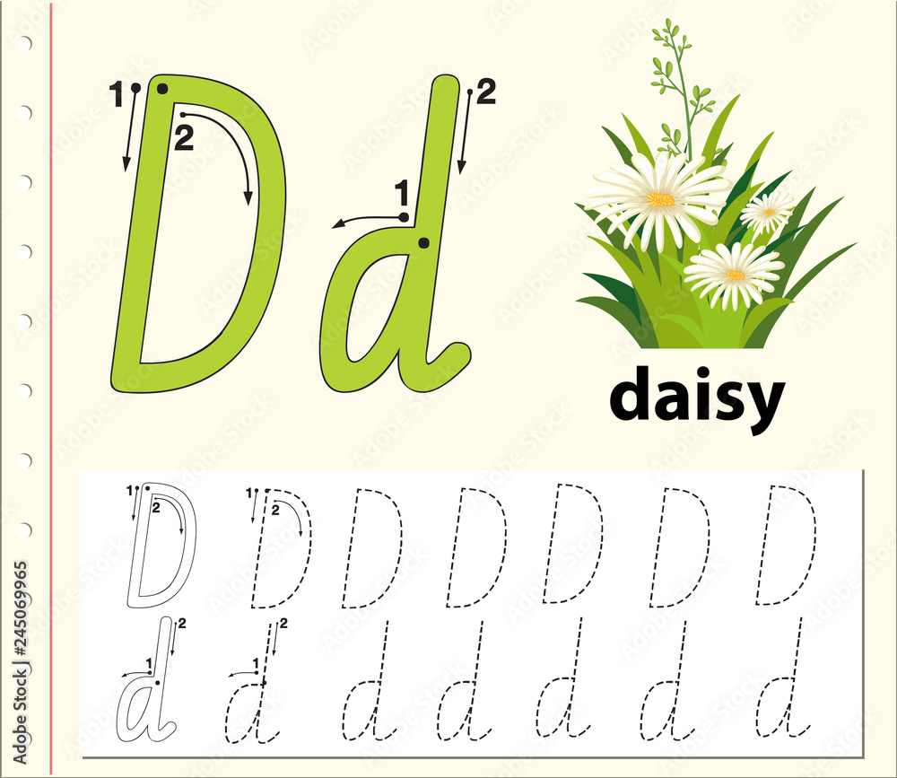 Naklejka premium Letter D tracing alphabet worksheets