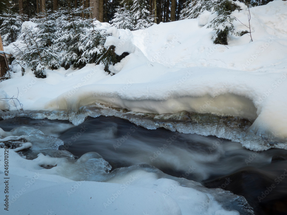 smooth motion of wild water in a river in winter with snow and ice on rocks and stones in the beautiful nature of a forest