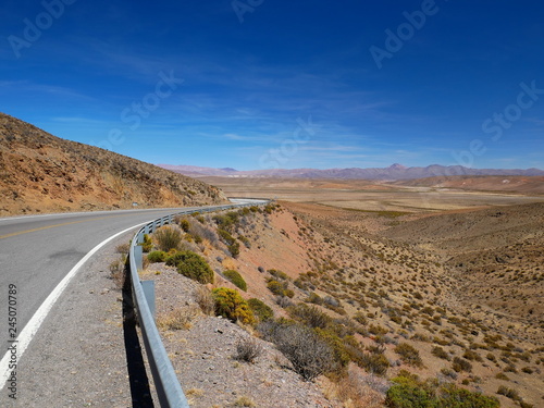 Altiplano andino  Argentina