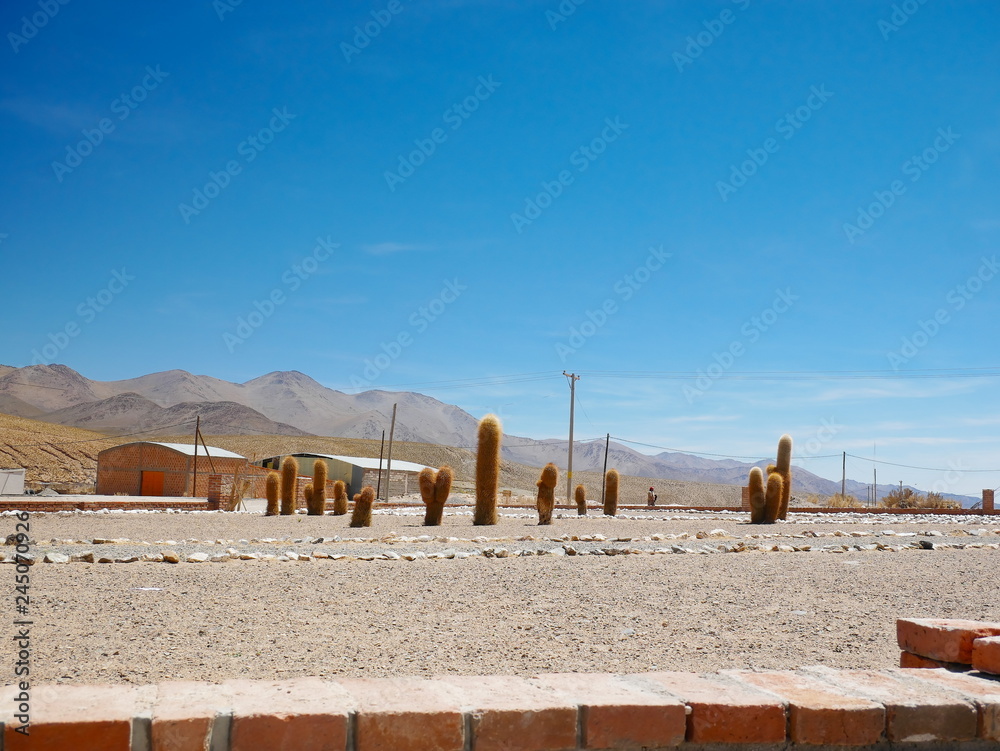 Altiplano andino, Argentina
