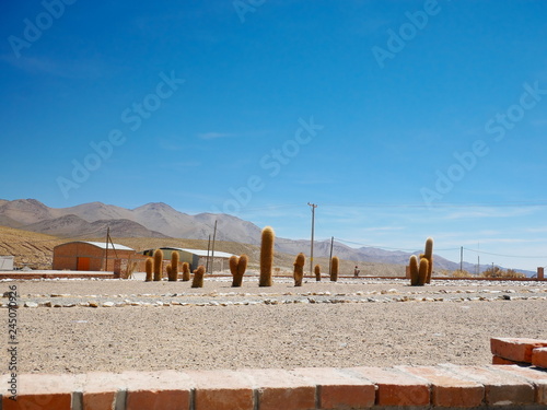 Obraz na płótnie Altiplano andino, Argentina w salonie