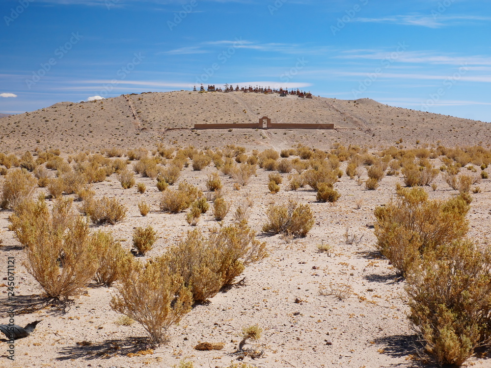 Altiplano andino, Argentina
