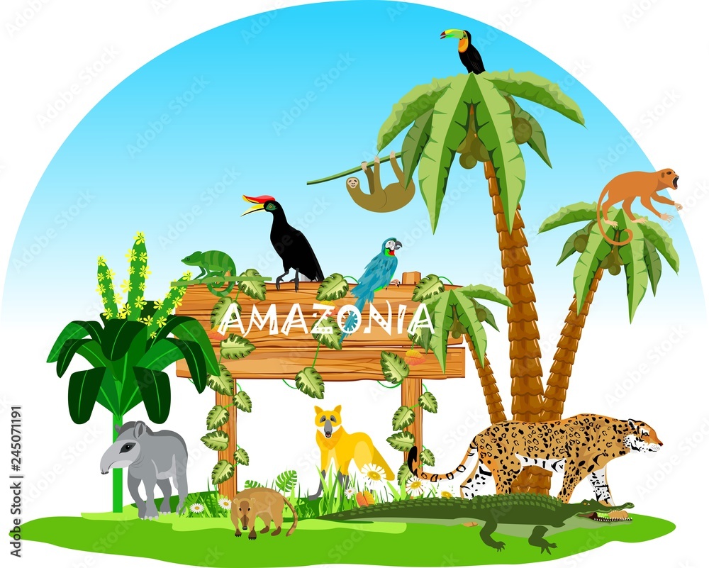 Amazon Jungle wildlife scene with plants and animals, wooden pointer vector  illustration Stock Vector | Adobe Stock