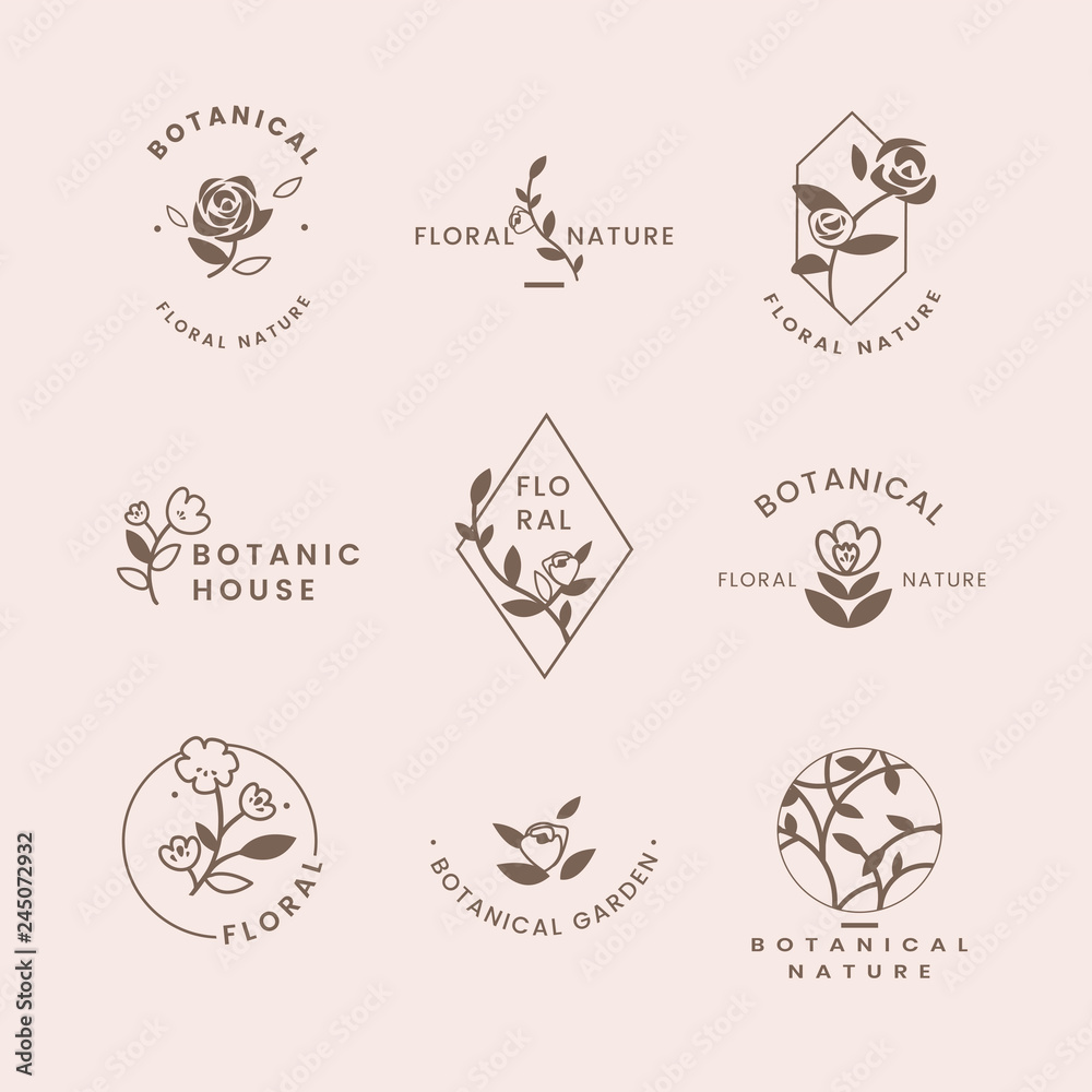 Botanical floral illustration Botanical floral illustration