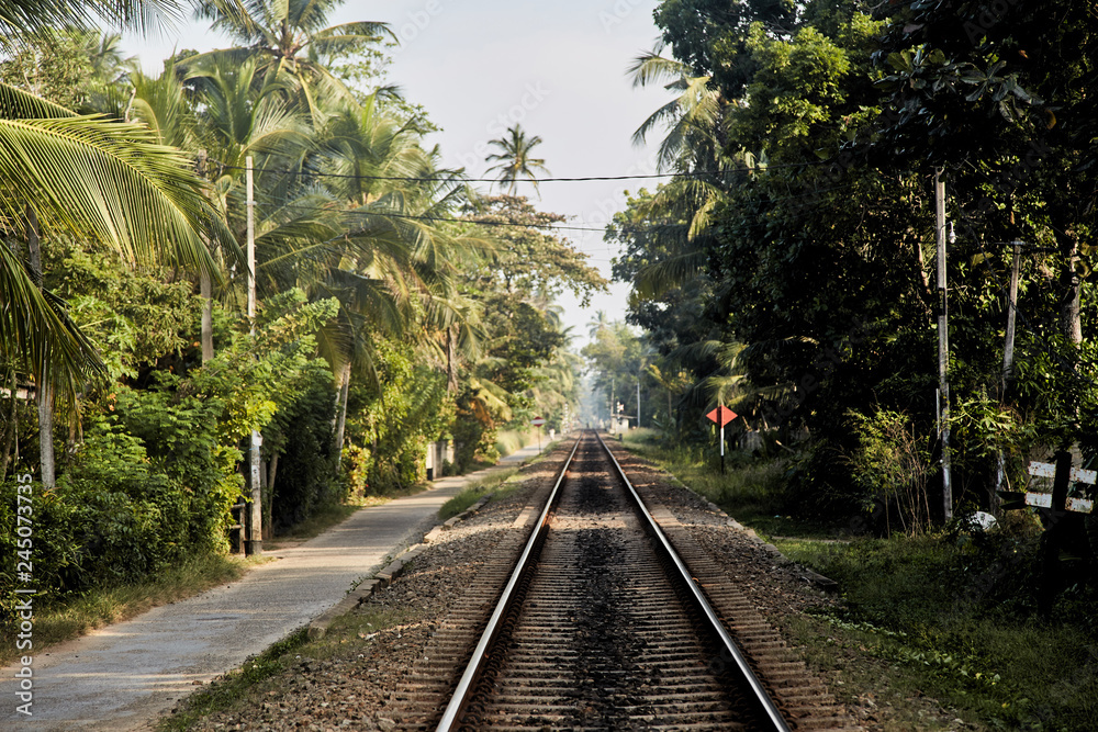 Obraz premium Railway in the tropics of Sri Lanka stretching into the distance