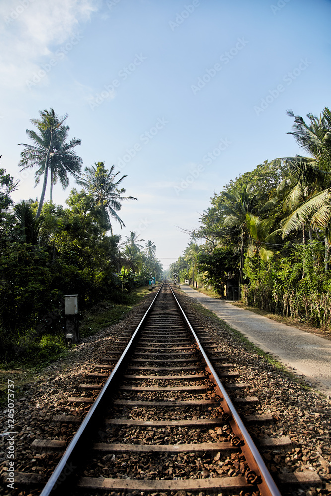 Railway in the tropics of Sri Lanka stretching into the distance Railway in the tropics of Sri Lanka stretching into the distance