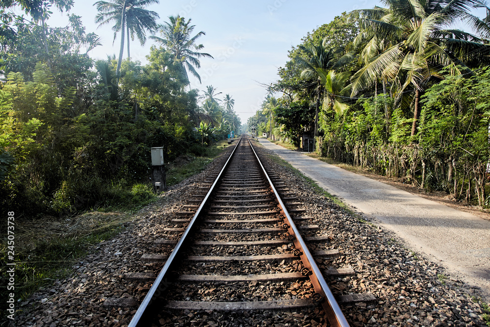 Railway in the tropics of Sri Lanka stretching into the distance Railway in the tropics of Sri Lanka stretching into the distance