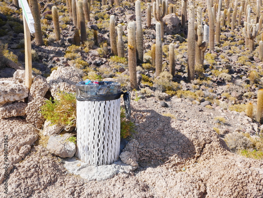 Salar de Uyuni, Bolivia