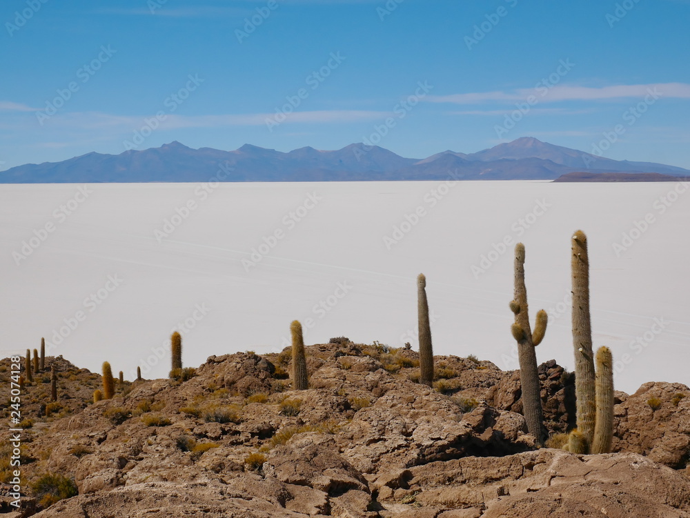 Salar de Uyuni, Bolivia