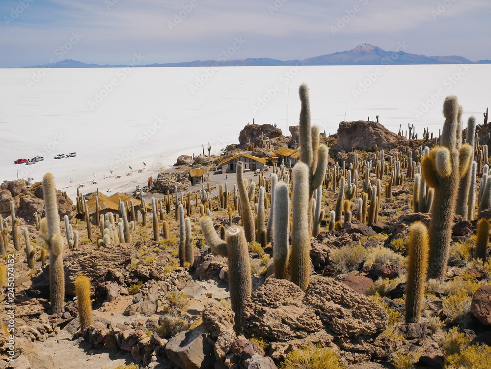Salar de Uyuni, Bolivia