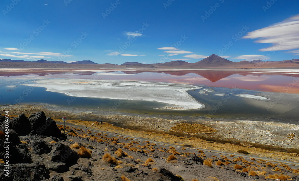 Laguna Colorada, Bolivia