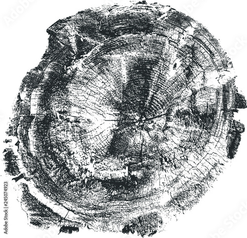 Tree Stump