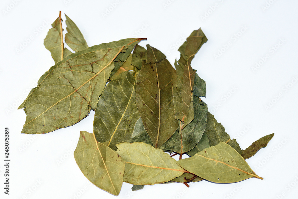 Fototapeta premium Dried bay leaf on white background