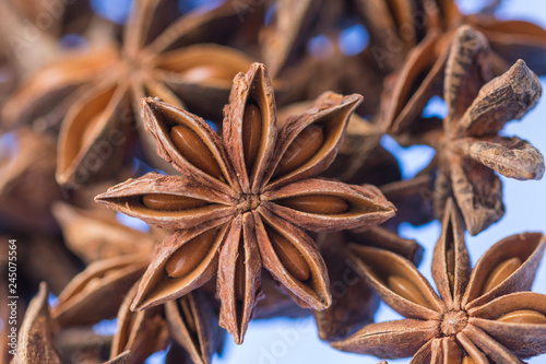  Dried anise on blue background