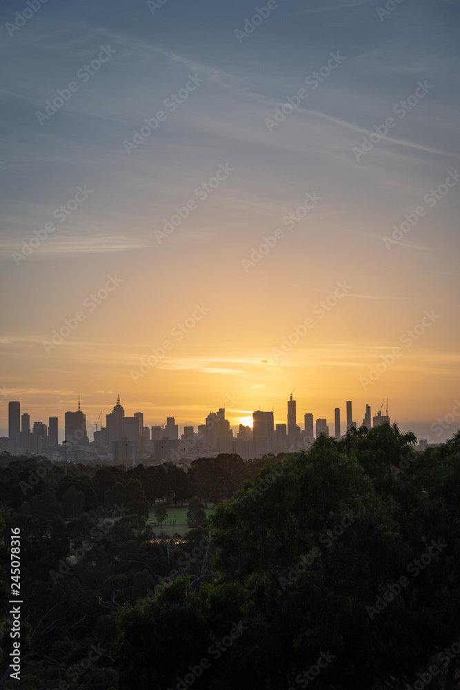 Melbourne city skyline with parks and trees in the foreground, vertical