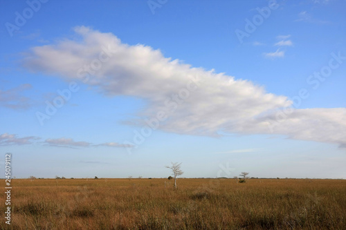 The Sawgrass Prairie of Everglades National Park, Florida.