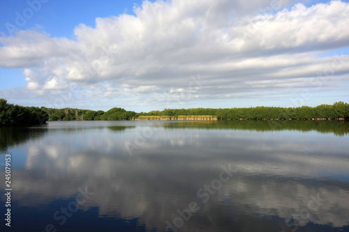 Cloudscape reflected in the still waters of Paurotis Pond in Everglades National Park, Florida.