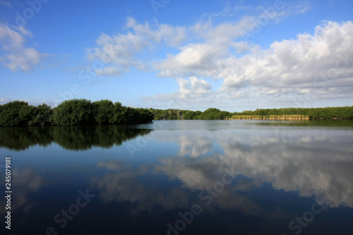Cloudscape reflected in the still waters of Paurotis Pond in Everglades National Park, Florida. © Francisco