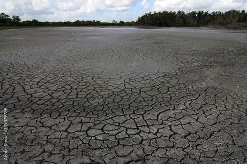 Extreme drought conditions at Eco Pond in Everglades National Park, Florida.