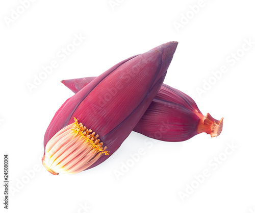 Blossom banana isolated on white background